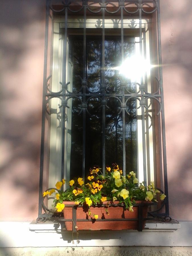 ArgentaCa Morari住宿加早餐旅馆 外观 照片